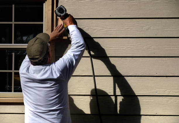 Affordable Siding Repair and Maintenance Services in Chetek, WI